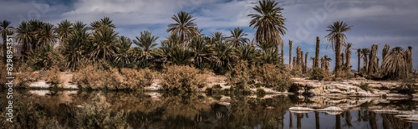 Obraz Flusslandschaft mit Palmen in Nordafrika, Marokko Panoramaaufnahme