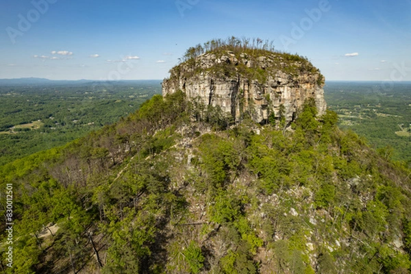 Fototapeta Closeup of Mountain Peak Surrounded by Green Trees Under a Blue Sky
