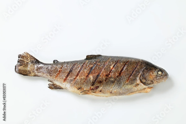Obraz Grilled trout