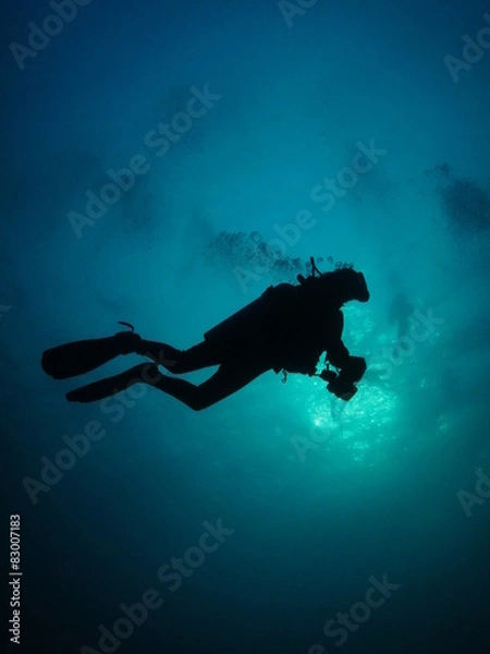 Obraz Diver silhoutte
