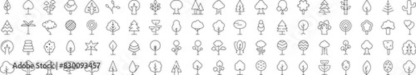 Fototapeta Outline Signs of Forest, Wood, Trees for Adverts. Suitable for books, stores, shops. Editable stroke in minimalistic outline style. Symbol for design
