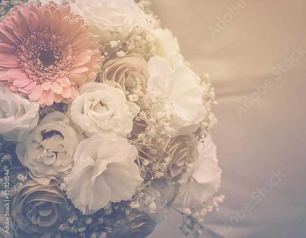 Fototapeta Fiori di bosco come campanule, anemoni e felci disposti su uno sfondo bianco