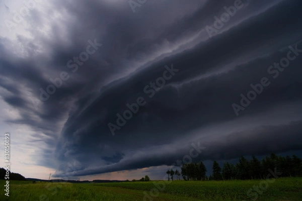 Fototapeta Chmura szelfowa 