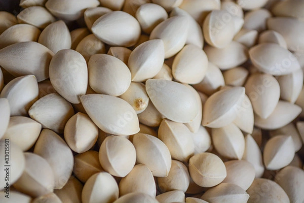 Fototapeta Ginkgo seed