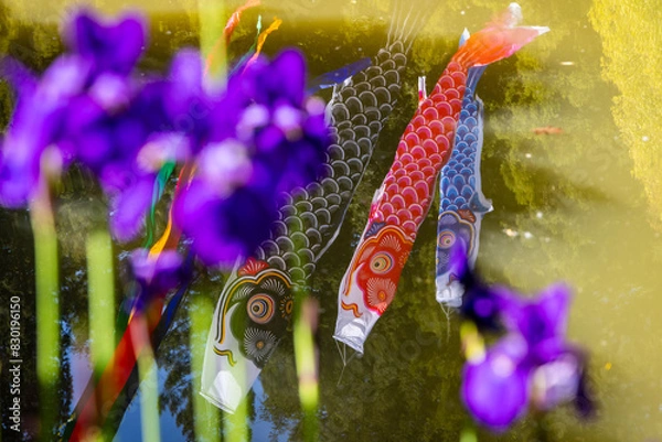 Fototapeta Koi flags flying in the air reflect off of a pond, framed by purple flowers