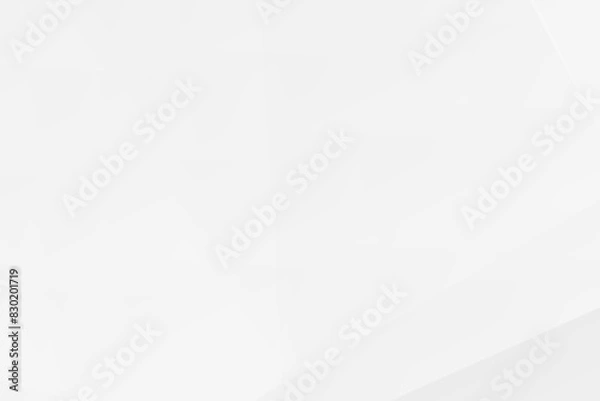 Fototapeta Abstract white and grey on light silver background modern design. Vector illustration eps 10.