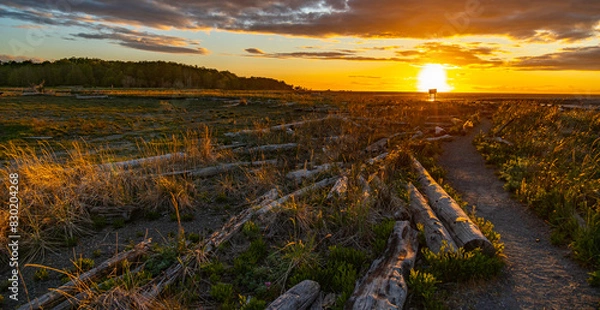 Fototapeta Sequim WA sunset