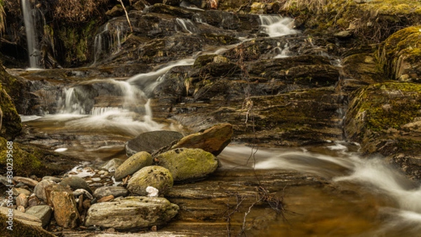 Obraz A small stream with stones.