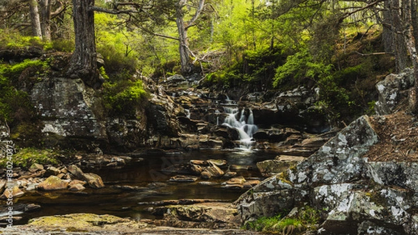 Obraz Stone waterfall and pine trees