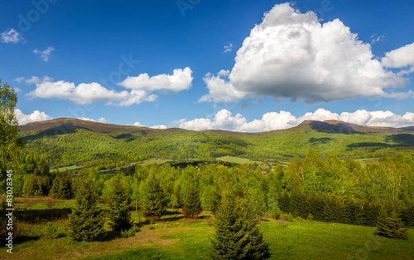 Obraz Bieszczady Mountains, Poland