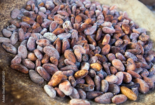 Fototapeta Cocoa beans
