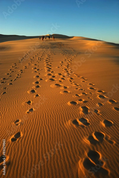 Fototapeta Group in desert



