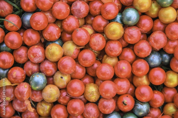 Obraz Paintball background