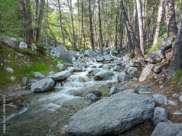 Obraz stream in the forest