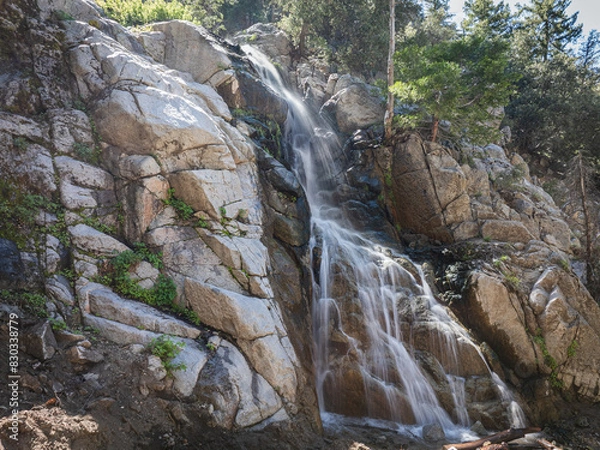 Obraz waterfall in the forest