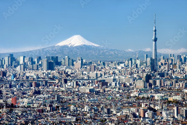 Fototapeta Panoramę Tokio z Mount Fuji i Skytree