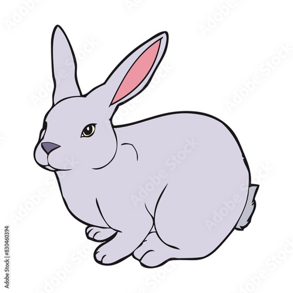 Fototapeta rabbit vector illustration isolated on white background