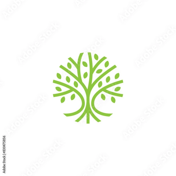 Obraz tree logo vector illustration, circle nature tree logo template
