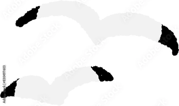 Fototapeta 갈매기