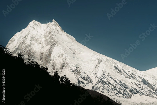 Fototapeta Manaslu Peak with forest on Manaslu Circuit Trek, Nepal