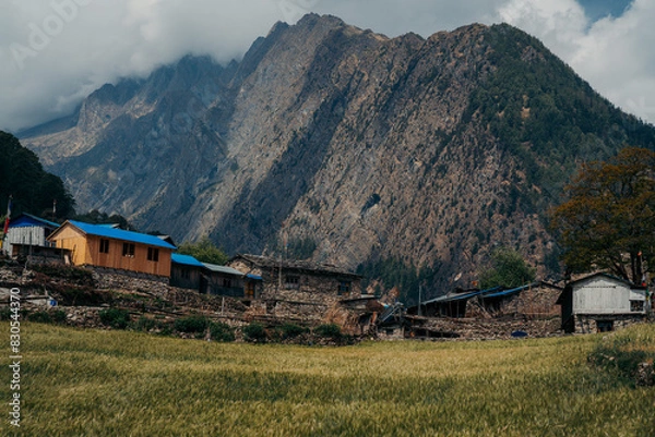 Fototapeta Old village and wheat farming on Manaslu Circuit Trek, Nepal