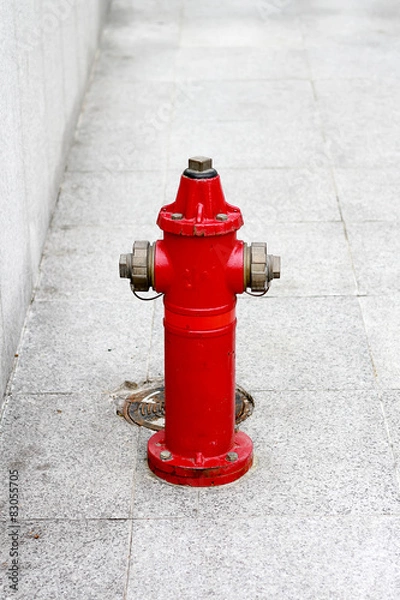 Obraz Fire hydrant on street