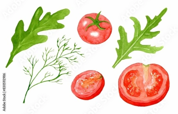 Fototapeta Set watercolor illustrations with whole red cherry tomatoes and slices, green herbs isolated on white background. Fresh vegetables, lettuce, dill for cooking delicious dishes. The template for design.