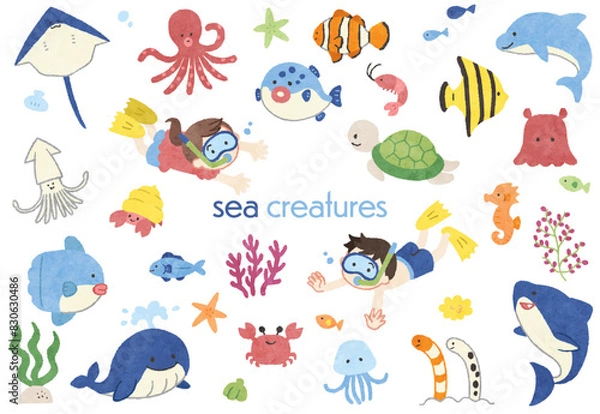 Obraz かわいい海の生き物の手描きイラストセット