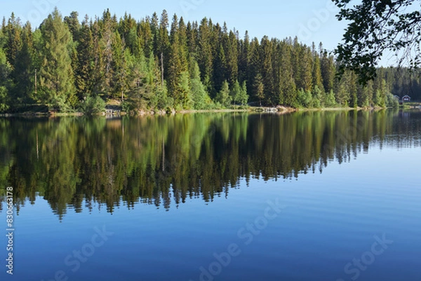 Fototapeta Early morning. Beautiful forest mountain lake. Trees reflected in the water