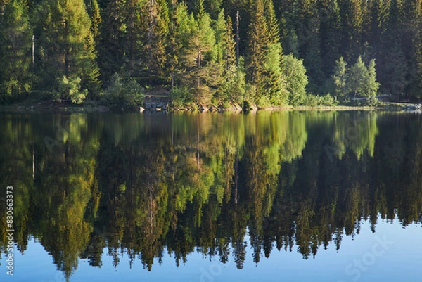 Fototapeta Early morning. Beautiful forest mountain lake. Trees reflected in the water