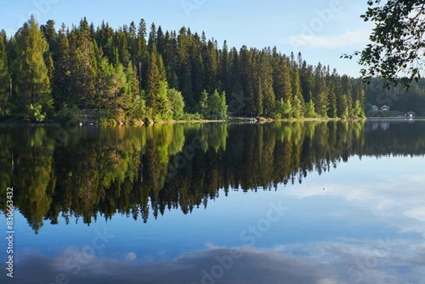Fototapeta Early morning. Beautiful forest mountain lake. Trees reflected in the water