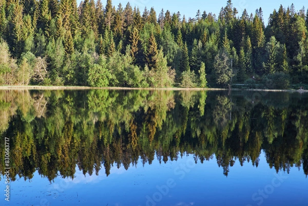 Fototapeta Early morning. Beautiful forest mountain lake. Trees reflected in the water