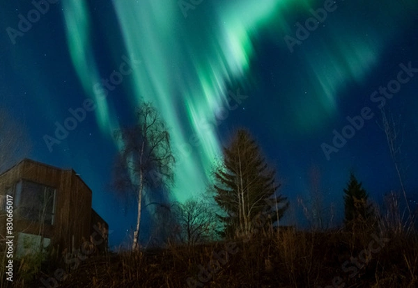 Fototapeta Aurora lights in Trondheim sky