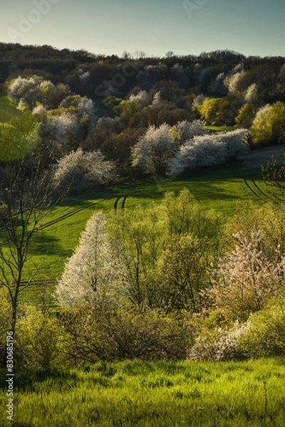 Fototapeta Spring evening landscape at Lower Silesia, Poland