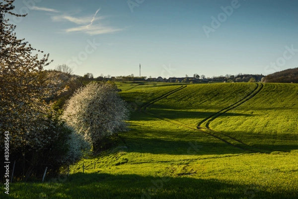 Fototapeta Spring evening landscape at Lower Silesia, Poland