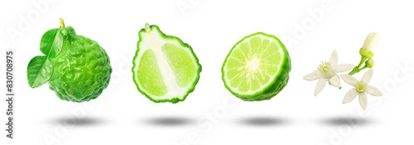 Obraz Flying bergamot with slices and flower collection isolated on white background.