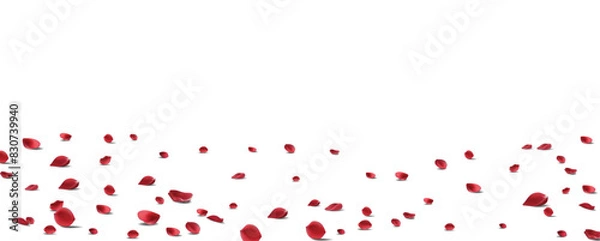 Fototapeta Floating red rose petal isolated on white. Background concept for love greetings on valentines day and mothers day