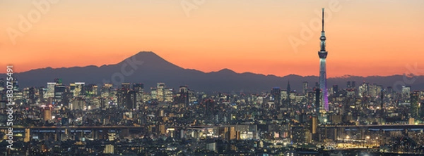Obraz Pejzaż Tokio i góra fuji w Japonii