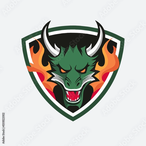 Fototapeta Create a university logo that combines a fierce dragon head and fiery flames