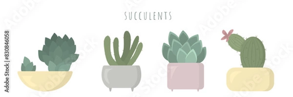 Obraz Collection of succulents isolated on white background