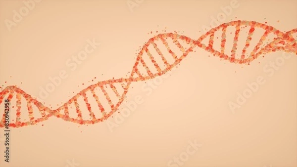 Obraz dna strand background