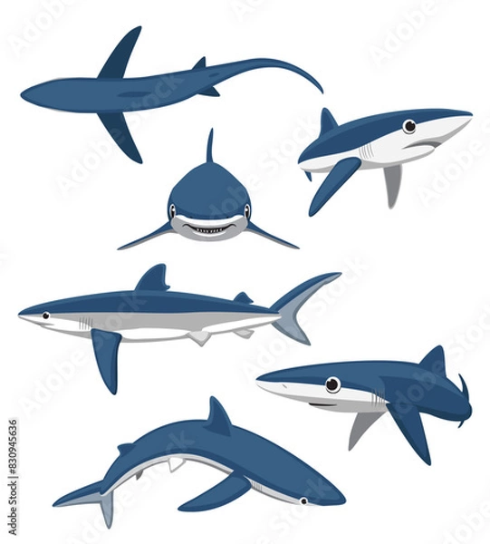 Obraz Cute Blue Shark Poses Set Cartoon Vector