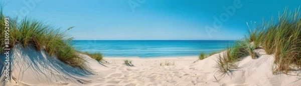 Obraz A panoramic view of a sandy beach with sand dunes, tufts of grass, and a clear, deep blue ocean stretching to the horizon, with copy space.