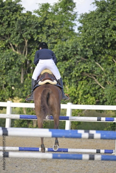 Fototapeta The rider on horse jumping over a hurdle during the equestrian
