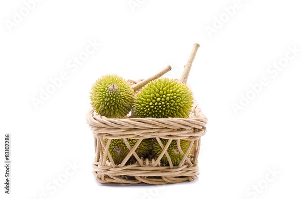 Fototapeta group of Durian on basket, isolated on white background