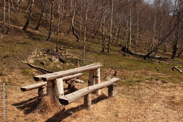 Obraz landscape