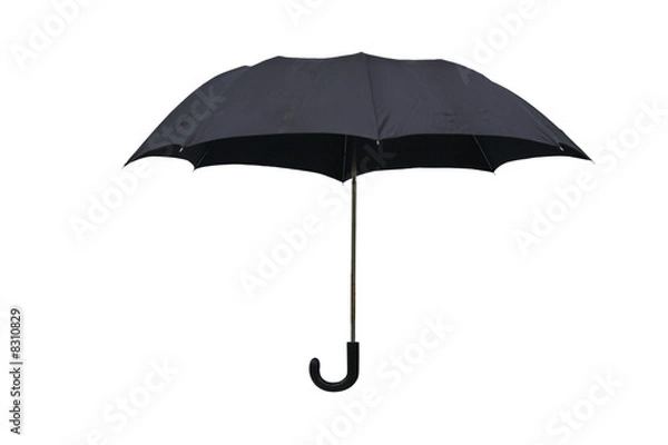 Obraz Umbrella
