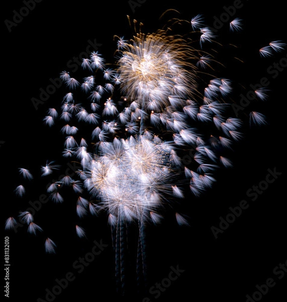 Fototapeta 秋田県大曲の花火　2023夏