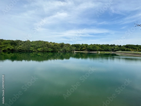 Fototapeta 三重県　いなべ公園の風景