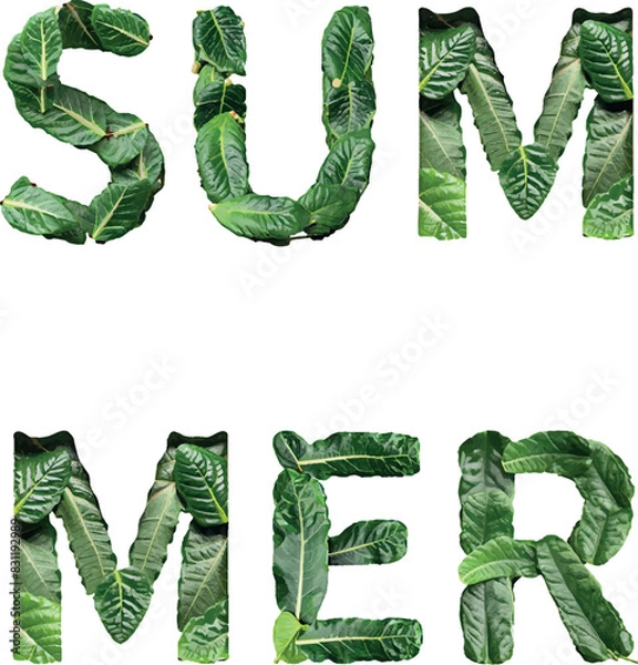 Obraz Summer word with stylized font vector text